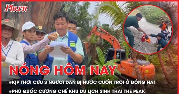 Nóng hôm nay 4-6: Kịp thời cứu 3 người dân bị nước cuốn trôi ở Đồng Nai; Phú Quốc cưỡng chế khu du lịch sinh thái The Peak