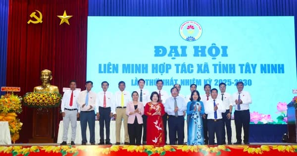 Tây Ninh đặt kỳ vọng kinh tế tập thể trở thành động lực tăng trưởng mới